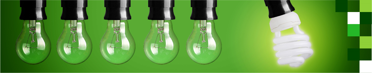 Tres bombillas encendidas entre plantas al ras del suelo